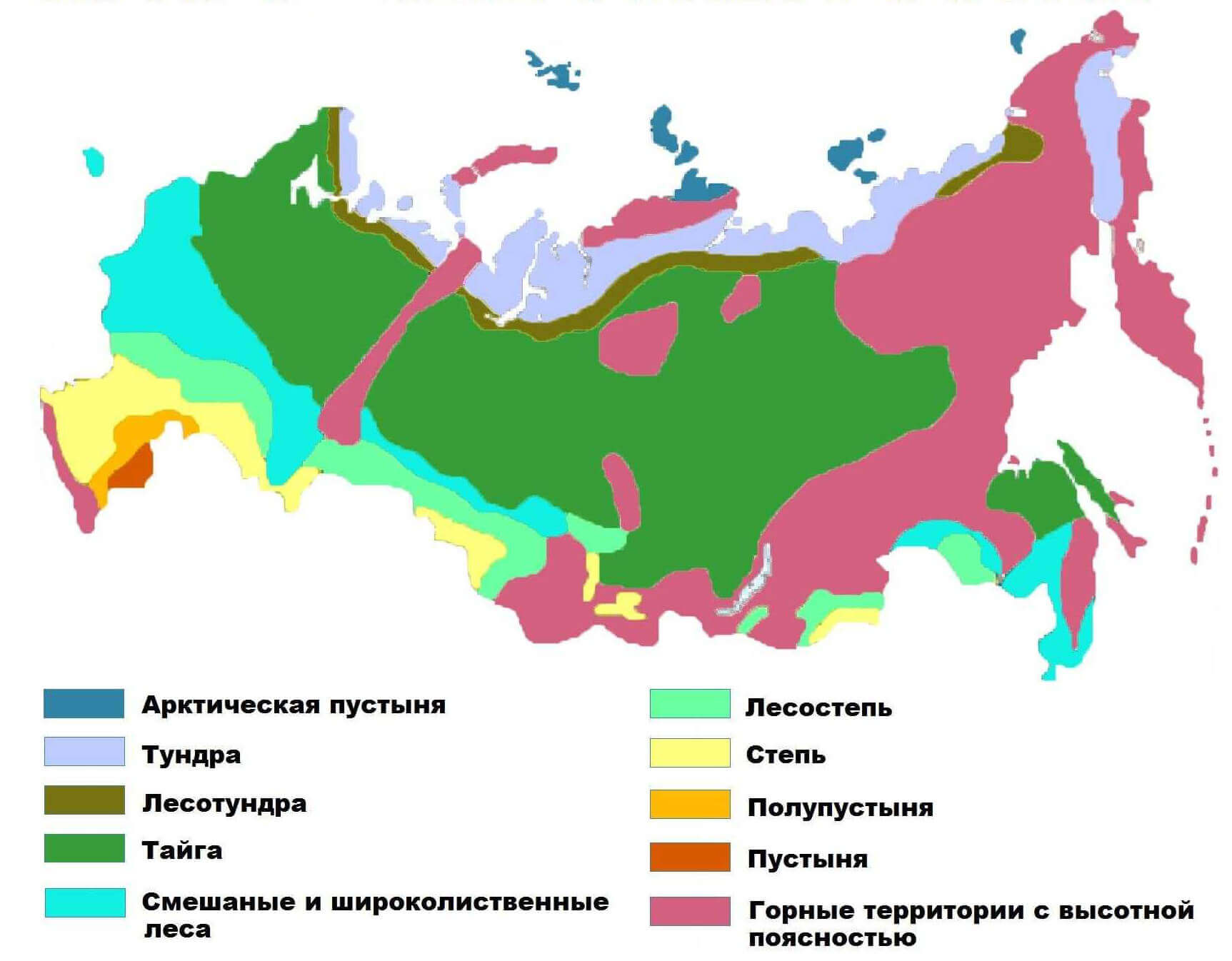 Природные зоны России на карте с названиями
