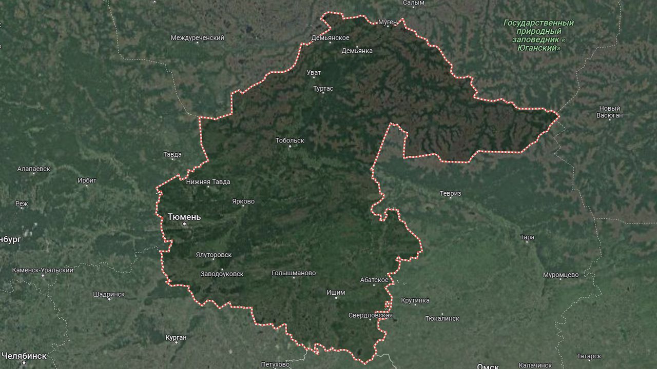 Спутниковая карта Тюменской области